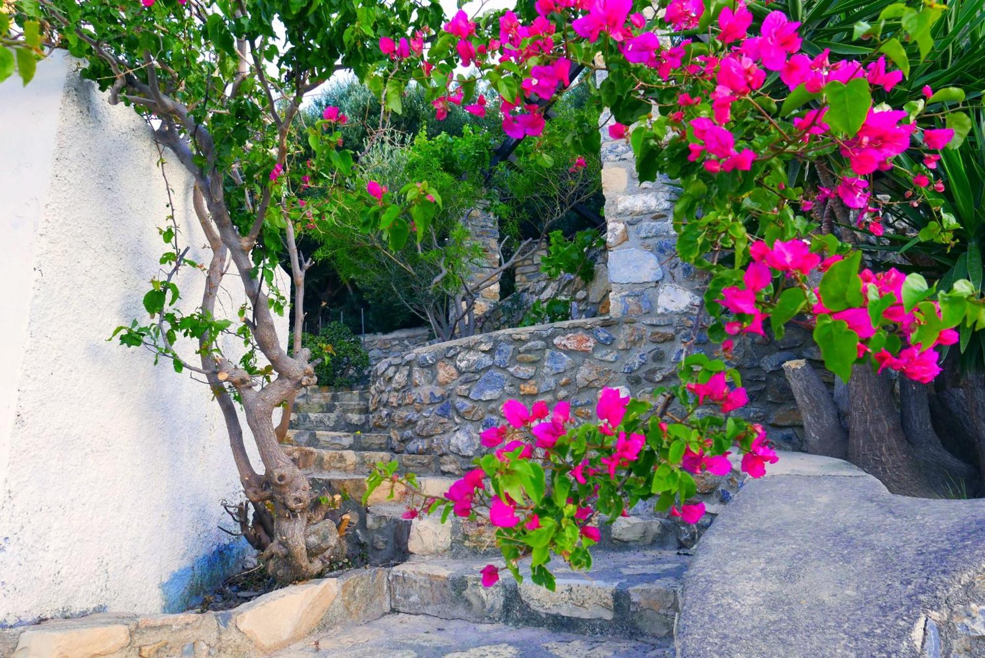 Elegeo Rockhouse * Agia Marina (Leros)
